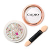 Pigment Cupio Fashion Aurora Ice